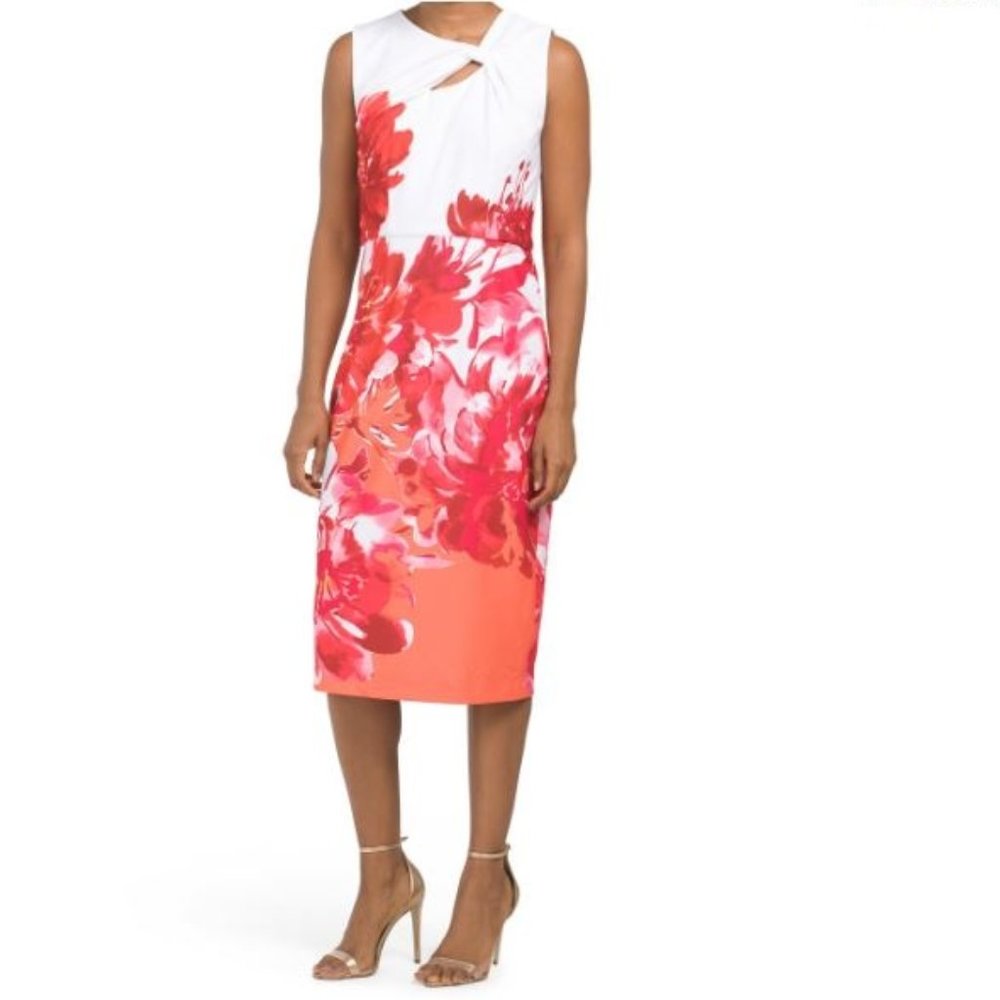 DONNA RICCO  Floral Sheath Dress .   Size 6